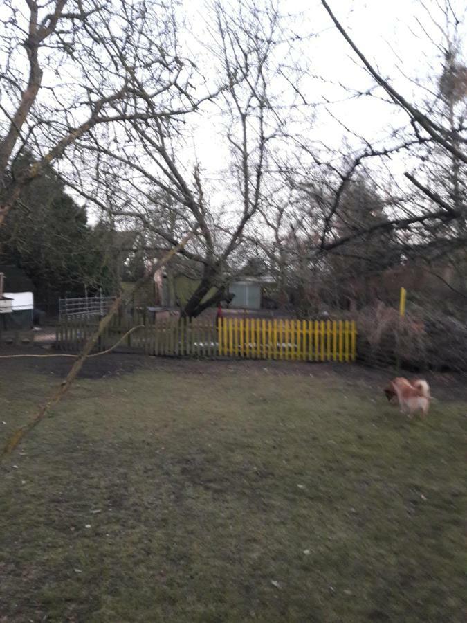 Hundefreundliches Zimmer Wustermark Luaran gambar
