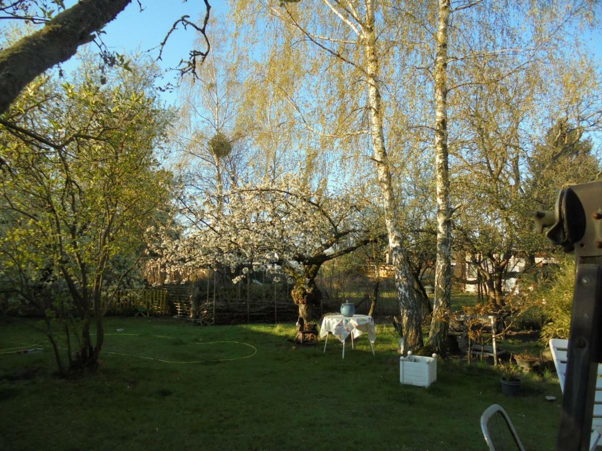 Hundefreundliches Zimmer Wustermark Luaran gambar